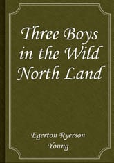 Three Boys in the Wild North Land 표지 이미지