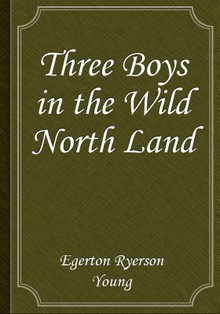 Three Boys in the Wild North Land