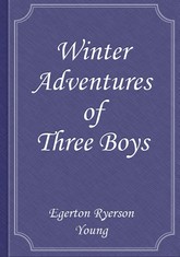 Winter Adventures of Three Boys 표지 이미지