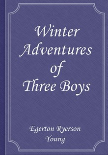 Winter Adventures of Three Boys