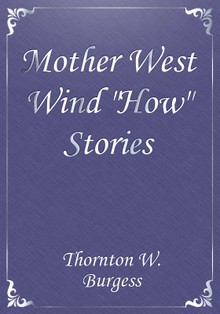 Mother West Wind "How" Stories