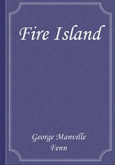 Fire Island 표지 이미지