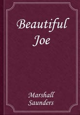 Beautiful Joe 표지 이미지