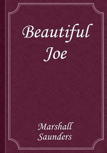 Beautiful Joe