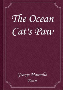 The Ocean Cat's Paw