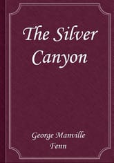 The Silver Canyon 표지 이미지