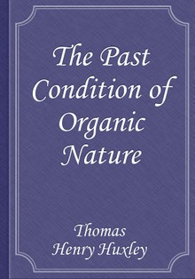 The Past Condition of Organic Nature