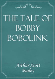 The Tale of Bobby Bobolink