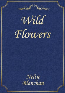Wild Flowers