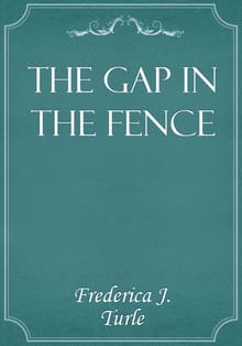 The Gap in the Fence