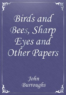 Birds and Bees, Sharp Eyes and Other Papers