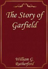 The Story of Garfield 표지 이미지
