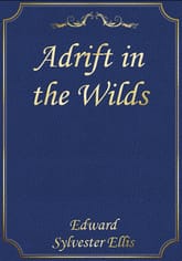 Adrift in the Wilds 표지 이미지