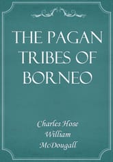 The Pagan Tribes of Borneo 표지 이미지