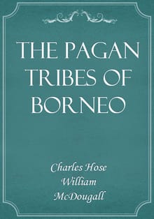 The Pagan Tribes of Borneo