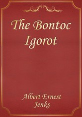 The Bontoc Igorot 표지 이미지