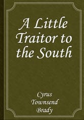 A Little Traitor to the South 표지 이미지