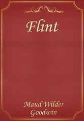 Flint 표지 이미지