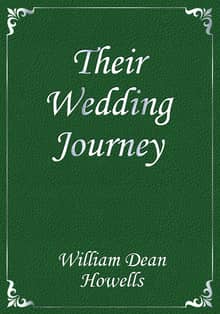 Their Wedding Journey