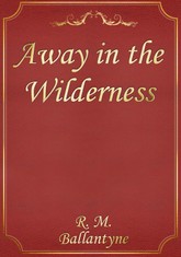 Away in the Wilderness 표지 이미지