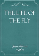 The Life of the fly 표지 이미지
