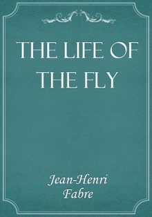 The Life of the fly