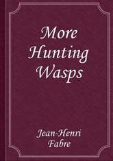 More Hunting Wasps 표지 이미지