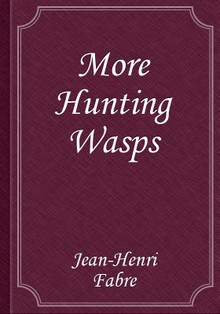 More Hunting Wasps