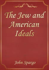 The Jew and American Ideals 표지 이미지