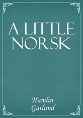 A Little Norsk 표지 이미지