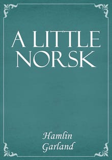 A Little Norsk