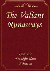 The Valiant Runaways 표지 이미지