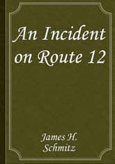 An Incident on Route 12 표지 이미지