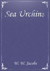 Sea Urchins 표지 이미지