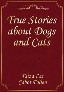 True Stories about Dogs and Cats