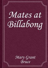 Mates at Billabong 표지 이미지