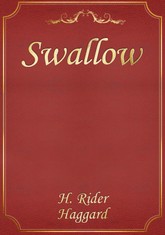Swallow 표지 이미지
