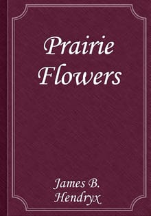 Prairie Flowers