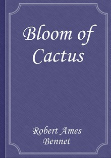 Bloom of Cactus