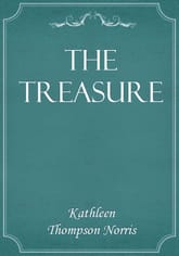 The Treasure 표지 이미지