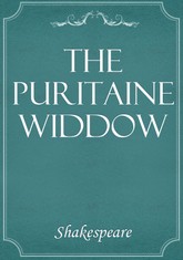 The Puritain Widow 표지 이미지