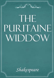 The Puritain Widow