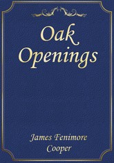 Oak Openings 표지 이미지