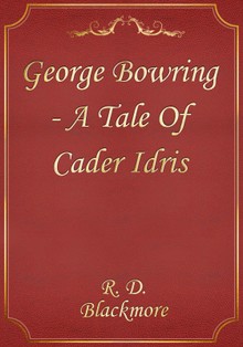 George Bowring - A Tale Of Cader Idris