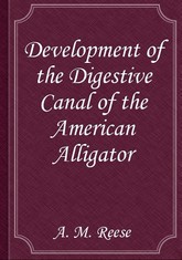 Development of the Digestive Canal of the American Alligator 표지 이미지