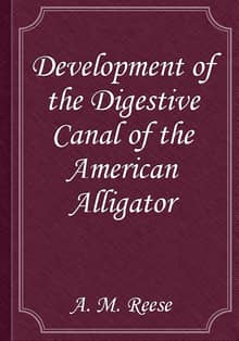 Development of the Digestive Canal of the American Alligator