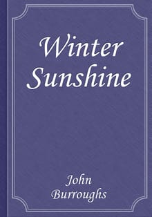 Winter Sunshine