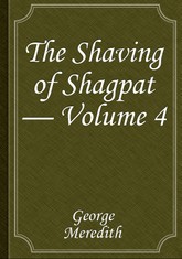 The Shaving of Shagpat — Volume 4 표지 이미지