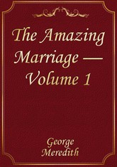 The Amazing Marriage — Volume 1 표지 이미지
