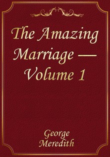 The Amazing Marriage — Volume 1
